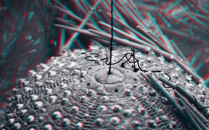 Pataslargas y el misterio de las profundidades