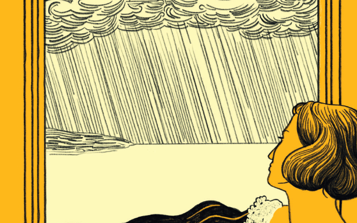 El año sin verano